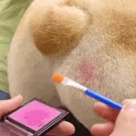 你说不喜欢我表情包我就删了,你为什么把我删了表情包