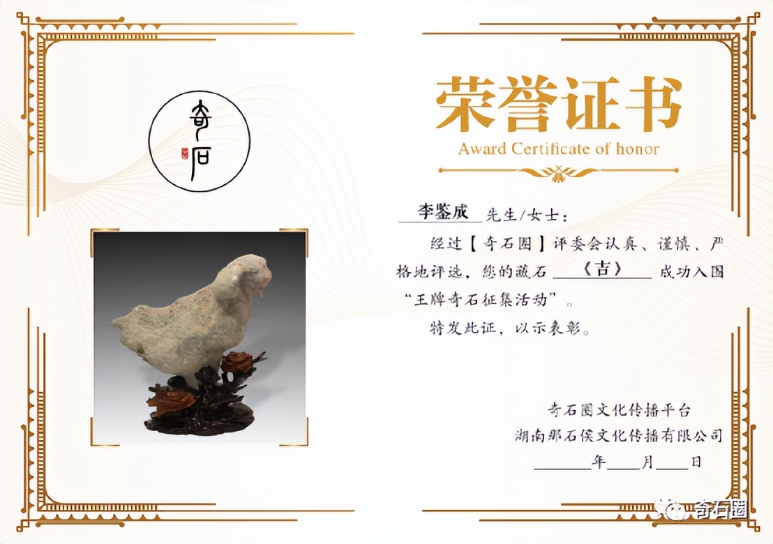 “带窝窝的石头”入围作品展播