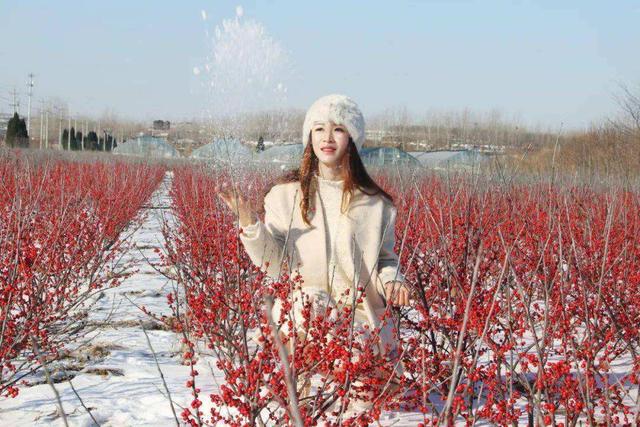 昂贵花卉100种,十种最贵的花