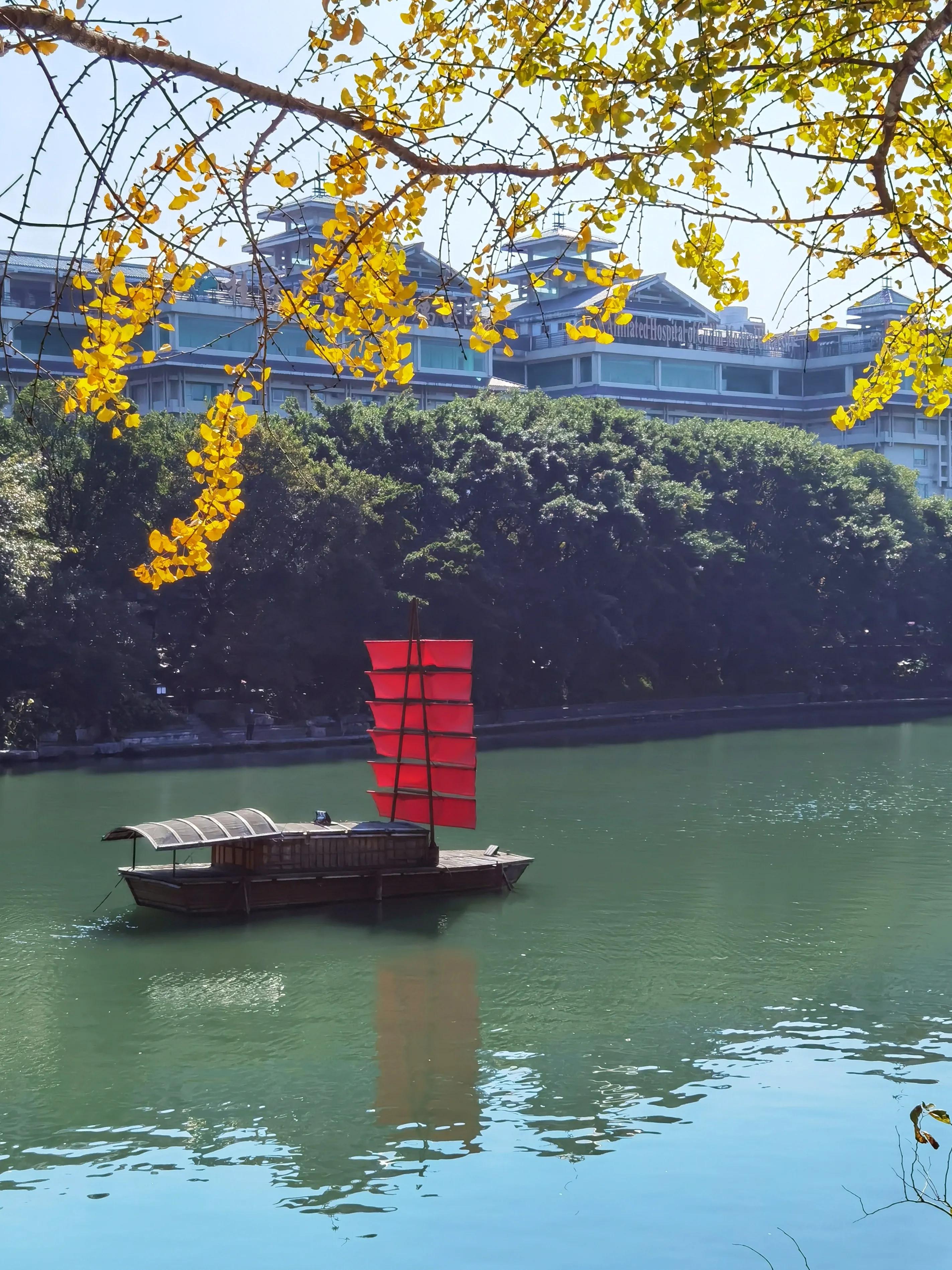 桂林的桂湖在哪里,桂林两江四湖之桂湖