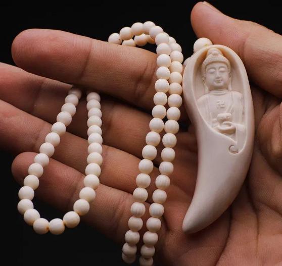 猛犸象牙开裂是不是证明是真的,猛犸开笑是正常现象么