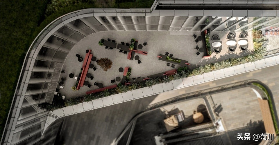 purenftea纯普茶,purenftea深圳