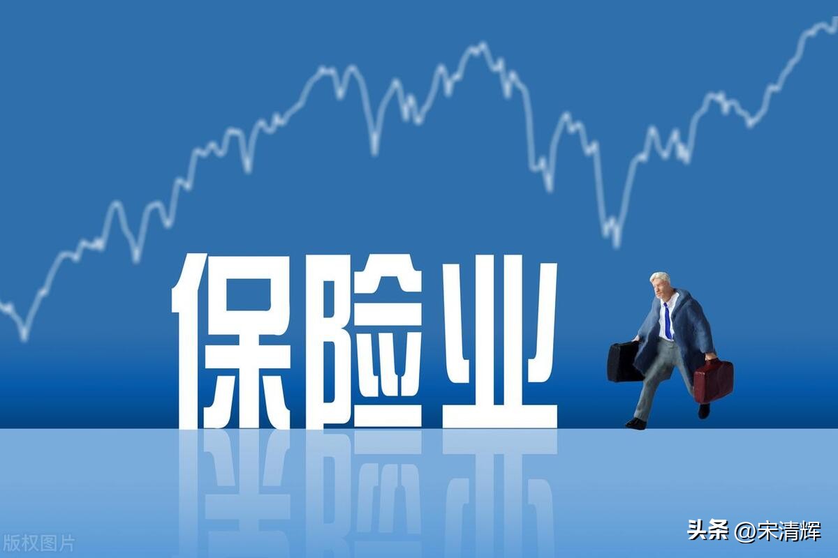 宋清辉保险业务,宋清辉谈国元保险