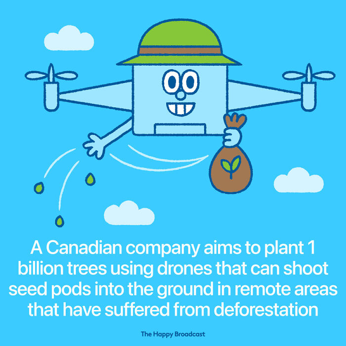 2021年世界各地的40个好消息，在沉重的一年，也能看到一些阳光