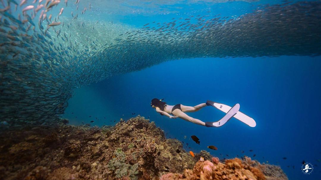 我准备好船票，现在带你漂向大西洋