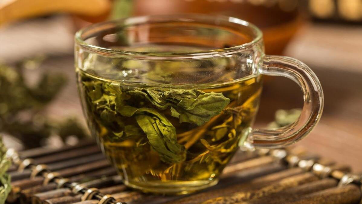 明日端午节,提醒老年人多吃“2豆”,多喝“4茶”,解疲劳更健康