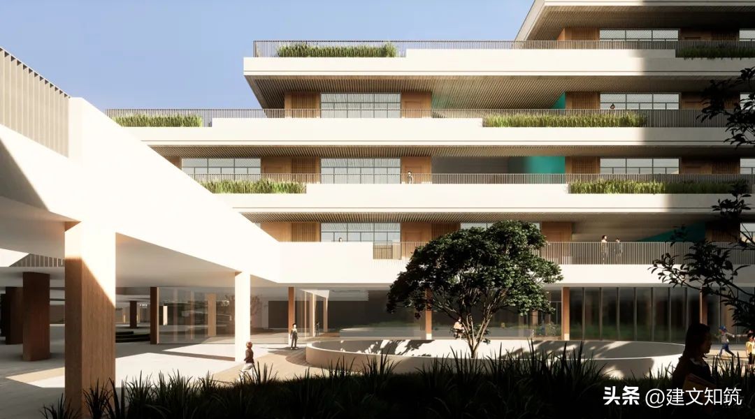 【荐筑】细胞聚落：宁波庐南城市更新区配套学校/华森+宁大地基