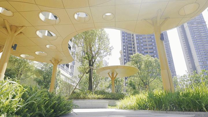 宝安中熙玖颂阁,深圳中熙玖颂阁