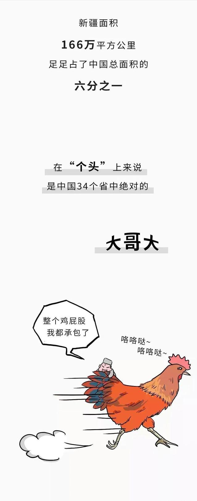 *疆新**到底有多“大”？幽默漫画科普，难怪不包邮