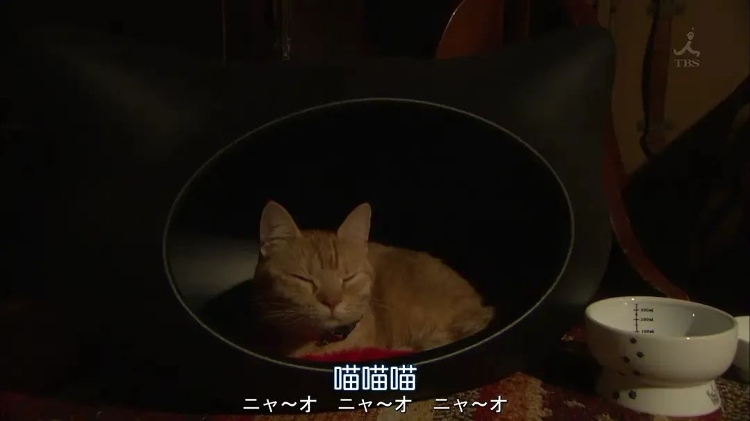 分享你人生中的每一个重要时刻,分享一个美好的瞬间