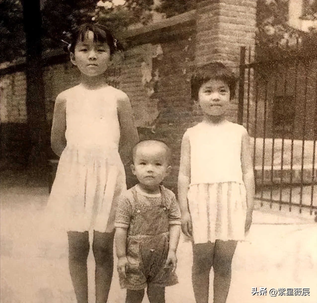 坚强的朱迅现状,朱迅抗癌13年如今过得幸福吗