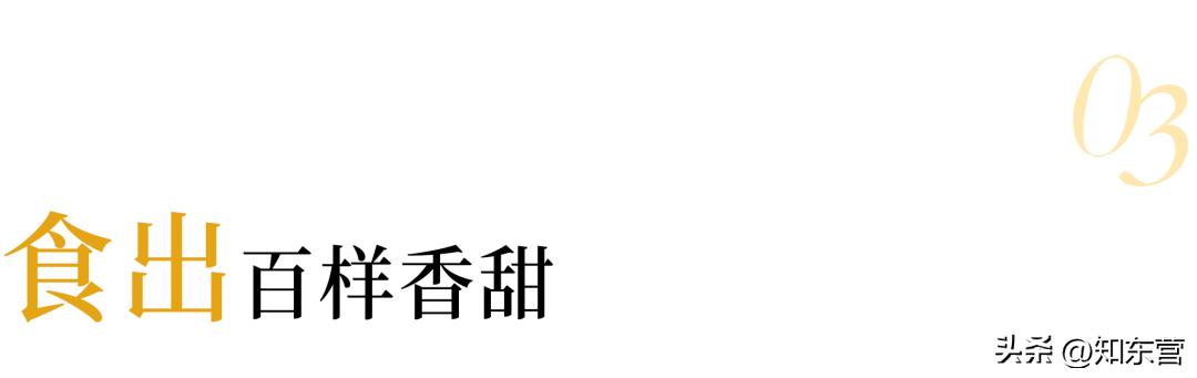 冬季养生煲糖水,入冬必喝养生糖水