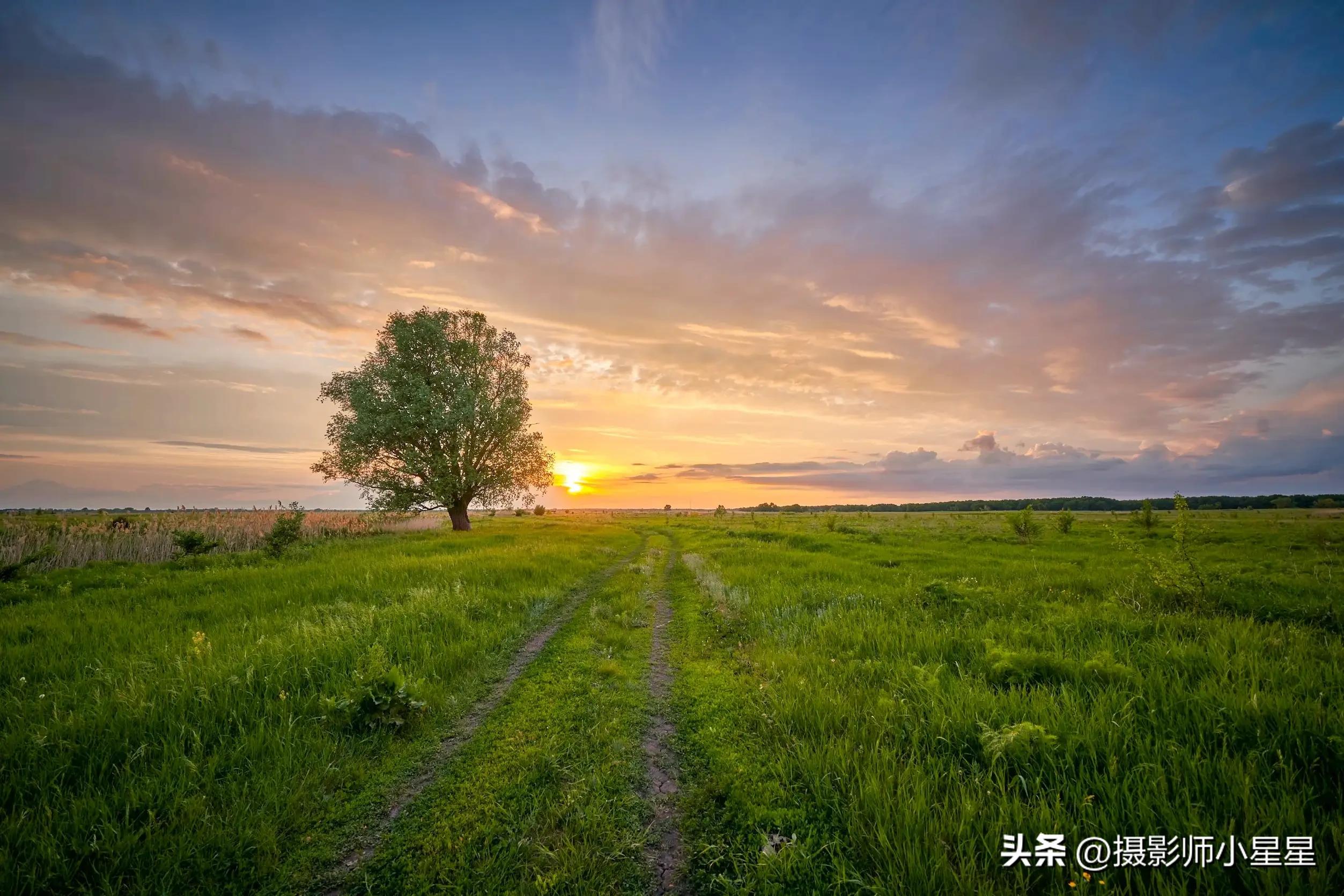 夏天绿色之美,夏天的绿色之美