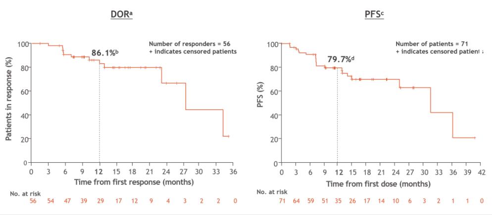一线治疗和后续治疗,一线治疗的方案