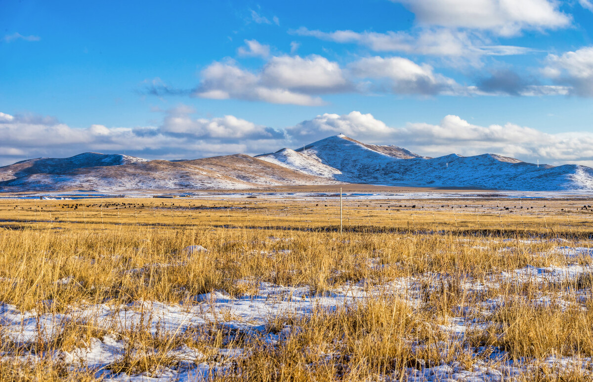 感冒发烧引起的头痛,感冒发烧会引起呕吐吗
