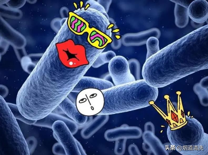 海尔抽油烟机清洗方法,方太抽油烟机清洗方法