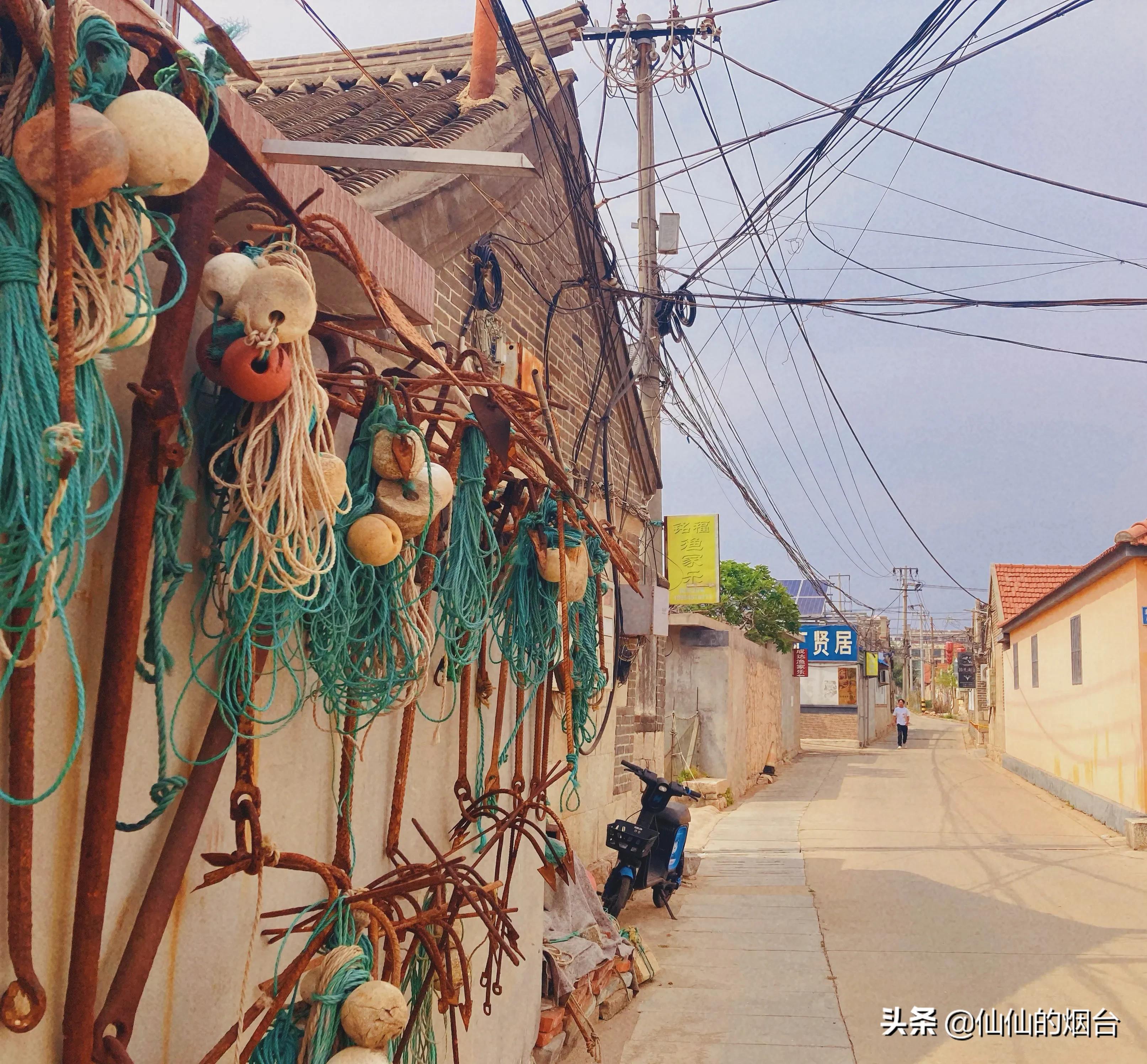 养马岛值得特意跑一趟吗,养马岛最值得看的几个地方