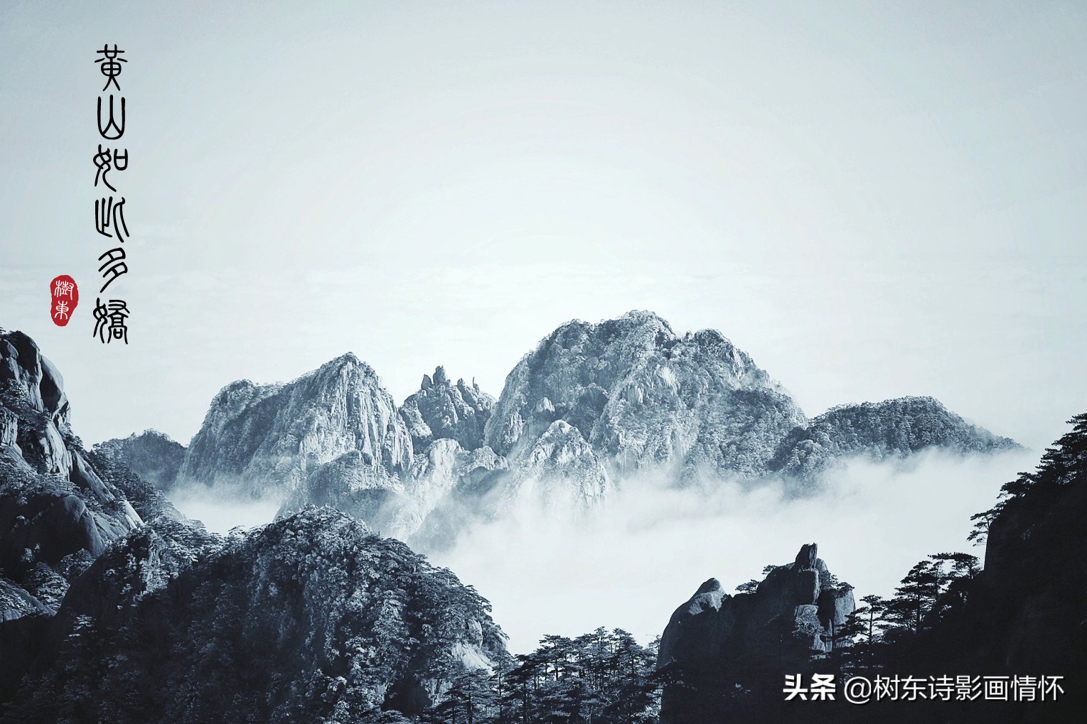 大雪压青松，青松挺且直，松在中华文化中象征着一种精神