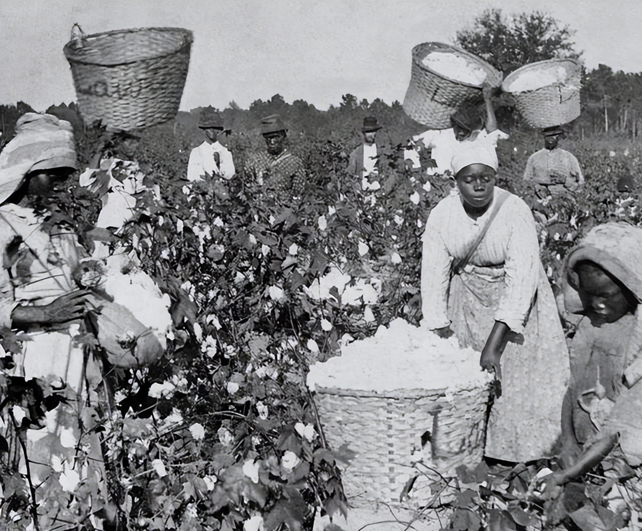 19涓栫邯鍒濊タ娆х殑宸ヤ笟鍙戝睍鎴愬氨,19涓栫邯娆ф床宸ヤ笟鍙戝睍濡備綍