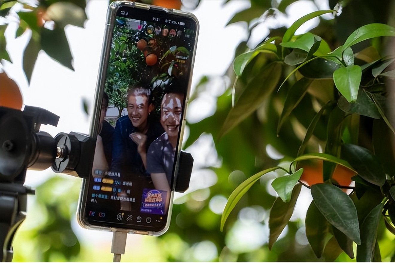 小众水果如何打开市场,小众水果致富