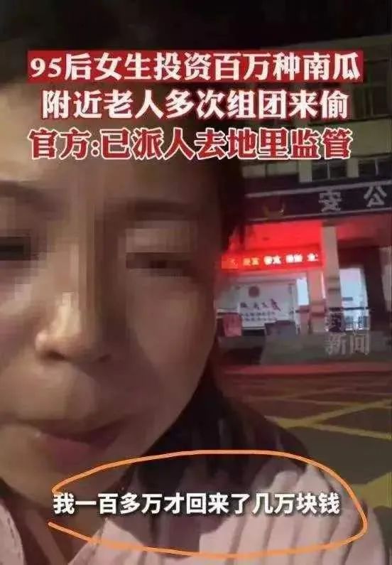 女大学生回乡创业被老人偷,大学生回农村创业被老人偷