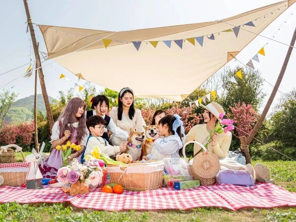 想了一百种关于春天的文案,却不及一场金坛茅山春日野餐露营美好