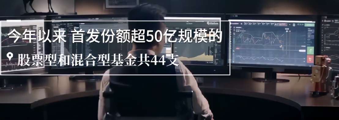 股票对比基金,2021股票基金收益排名一览表