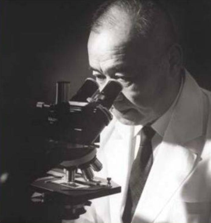 养乐多工厂探秘之旅,养乐多集团总部