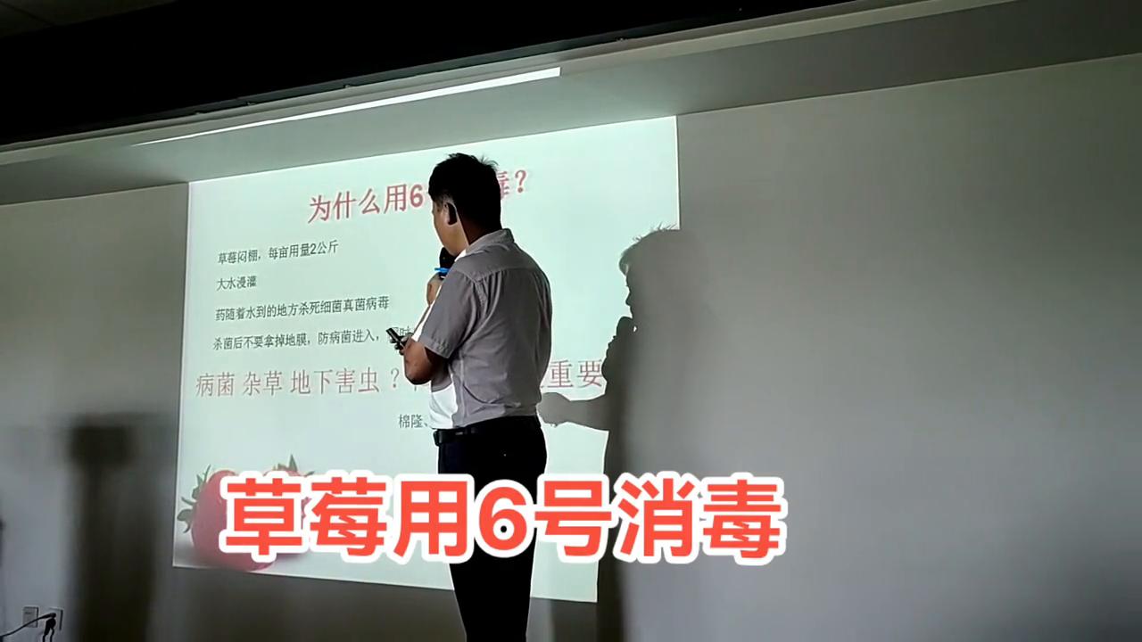 草莓病虫害专用药,草莓表面可以用75%酒精消毒吗