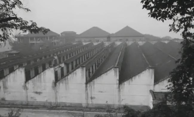 抗战老兵被埋60年,62年大别山剿匪事件