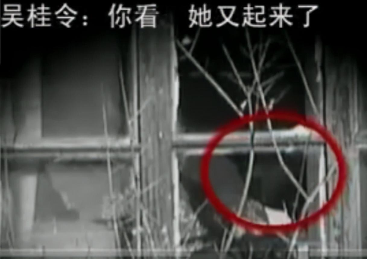 08年,河北女孩“瘫痪”卧床20年,姐姐安上监控后,戳穿多年*局骗**