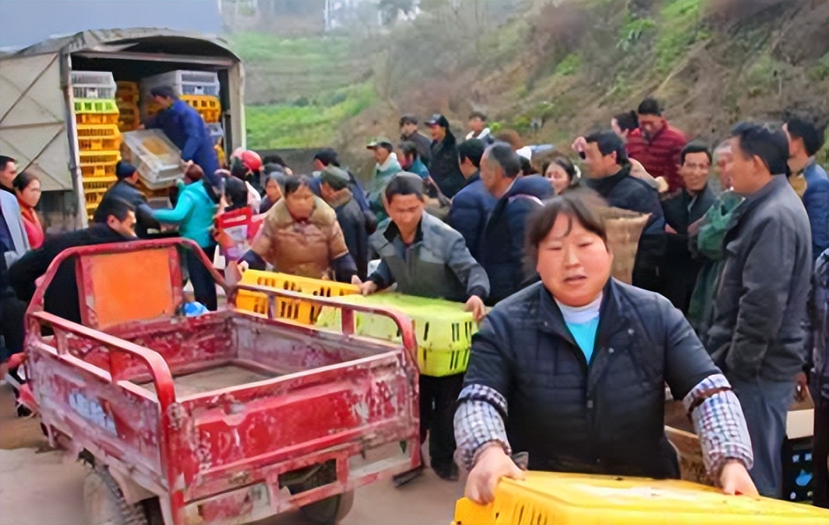 回老家创业做这6种生意最赚钱,农村能做什么生意比较好创业