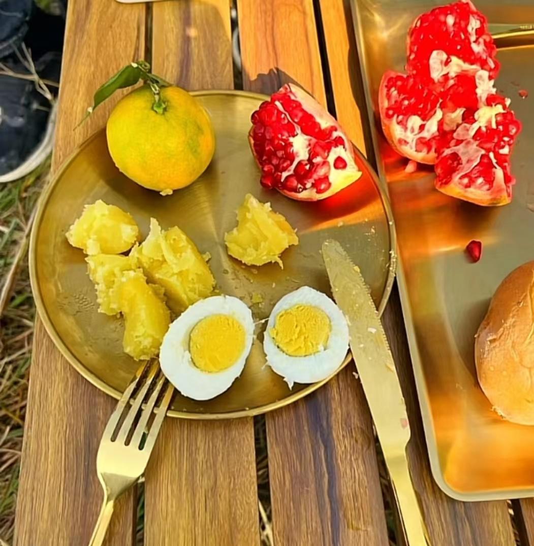 22年郑州5人1狗露营被困22天，靠居民投喂生存，荒野求生结局如何