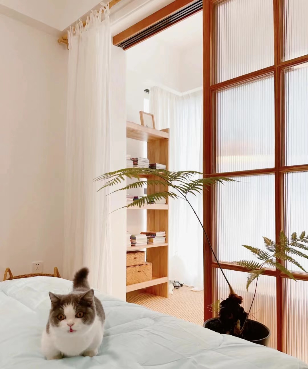 最简单的大白墙原木风,治愈系卧室二十一平原木风