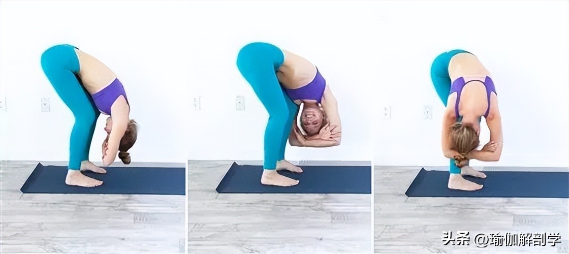 初学者减脂动作简单瑜伽,减脂流瑜伽体式讲解和功效