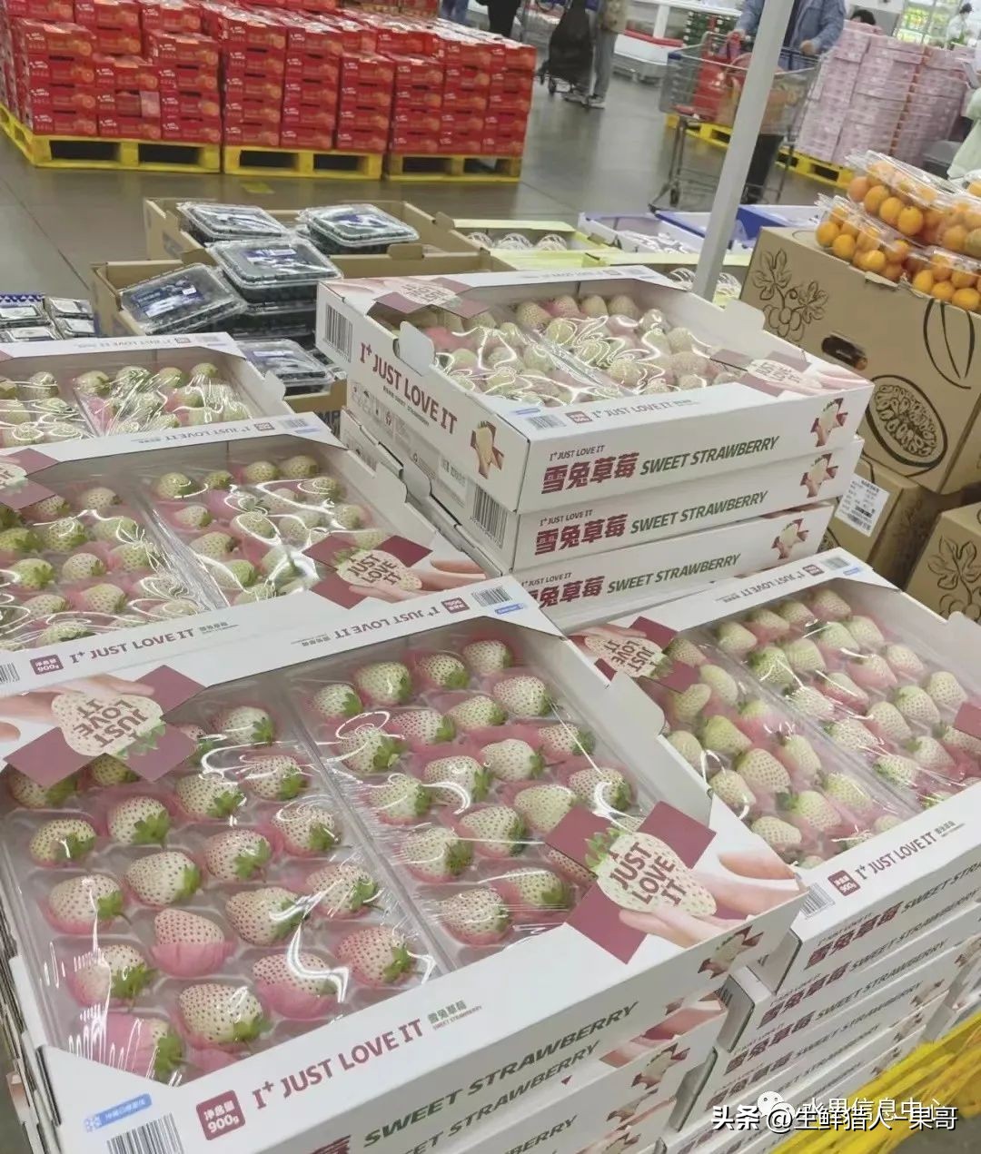 最好吃的白草莓品种前十名,好吃实惠的草莓品种有哪些