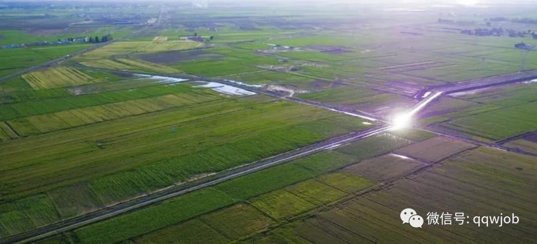 中粮贸易招实习生大型央企工作机会，应聘难度高吗？