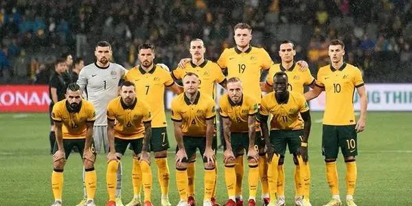 卡塔尔世界杯第三比赛日赛果预测