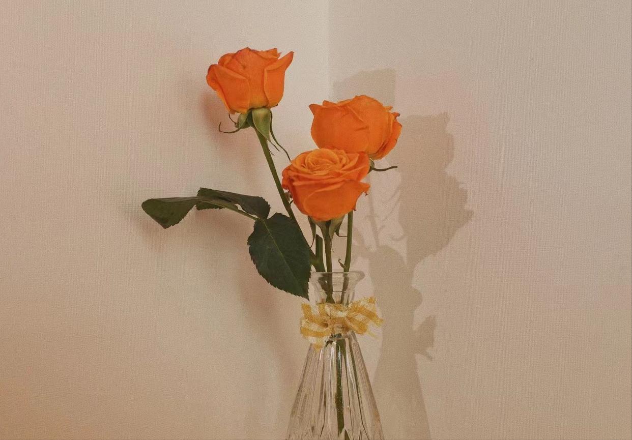 有远见的女人有出息吗,远见的女人都懂得给自己留条后路