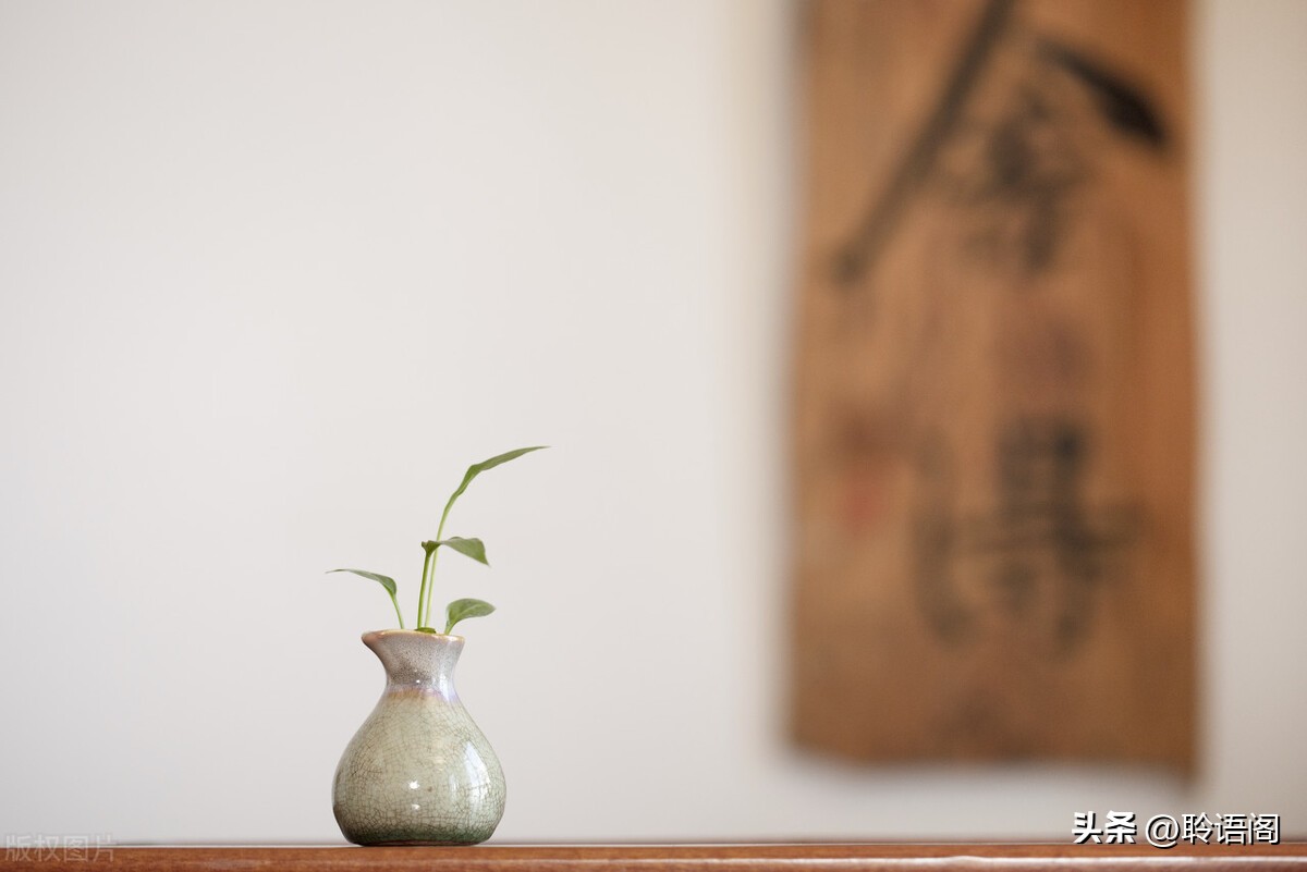 小故事大道理及感悟,受益匪浅小故事大道理