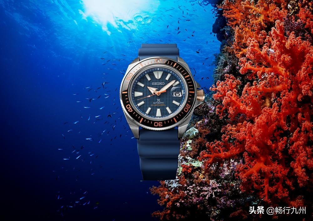 日本精工最新四指针腕表,精工腕表最新款