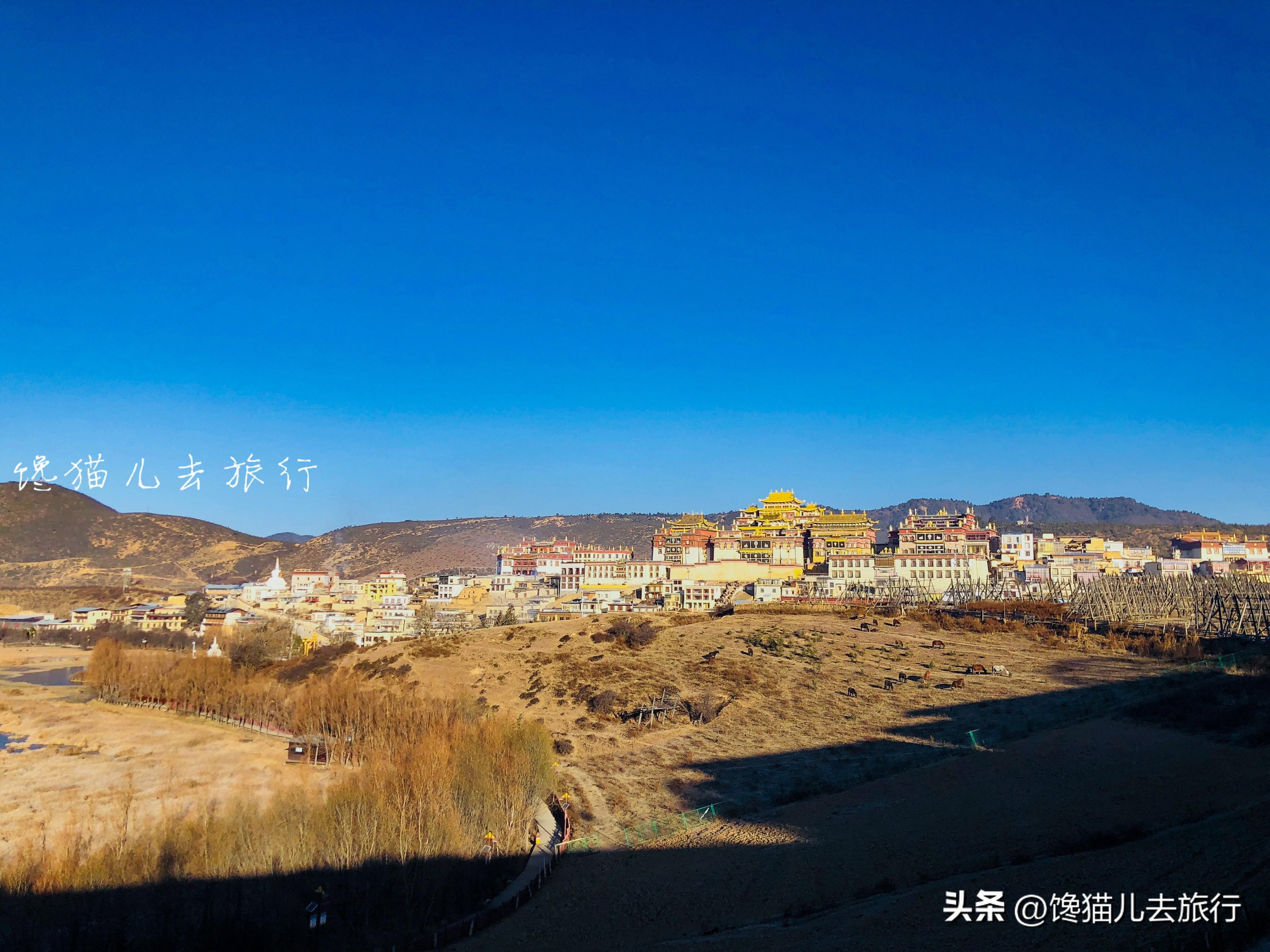 去了云南丽江却没有去香格里拉?香格里拉的景色独步国内而且多样