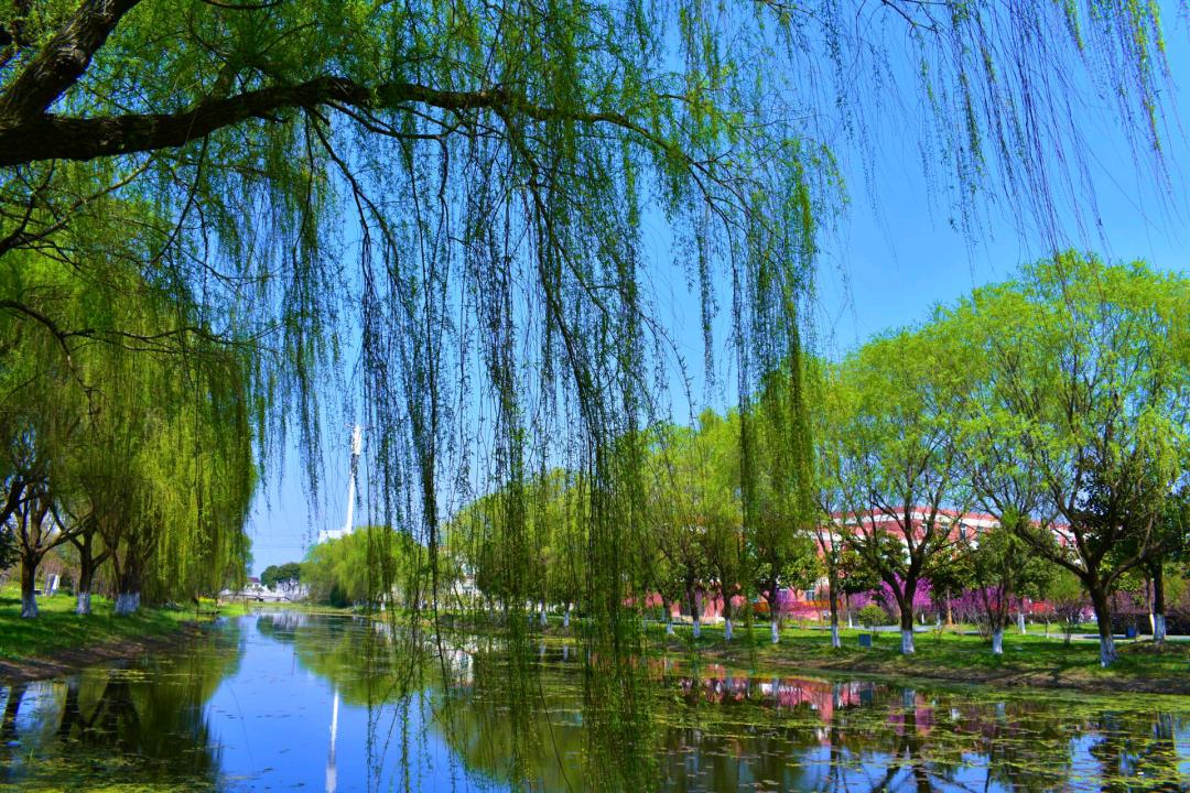 苏州托普信息职业技术学院补录,苏州托普职业学院招生