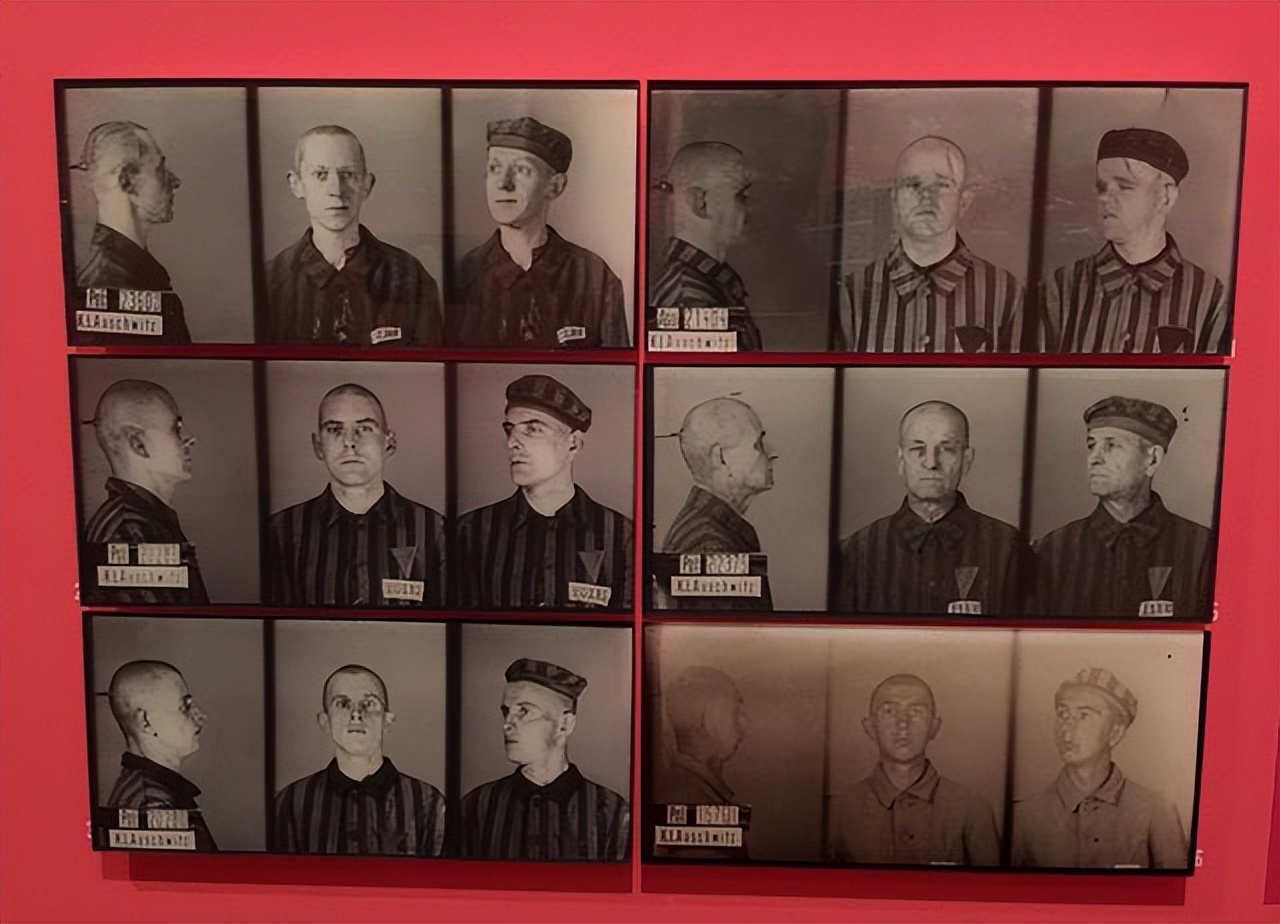 纳粹时期希特勒残害的对象都有谁？大*杀屠**的受害者只有犹太人吗？