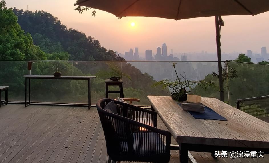 寻找马璐璐,寻找猪鼻狸