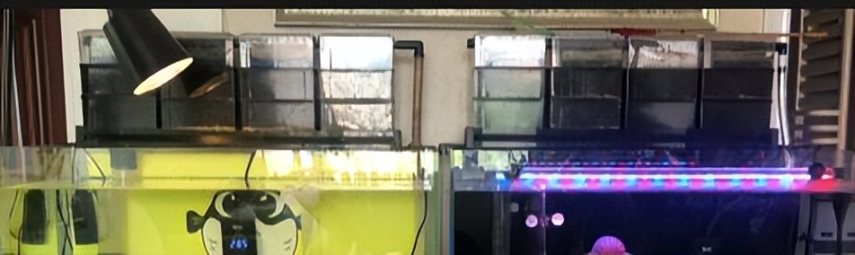 1.5米鱼缸底滤全部用滤棉可以吗,上滤鱼缸和底滤缸哪个噪音小些