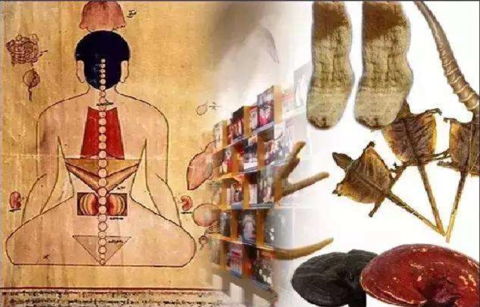 藏医藏药藏文化,千年藏医藏药