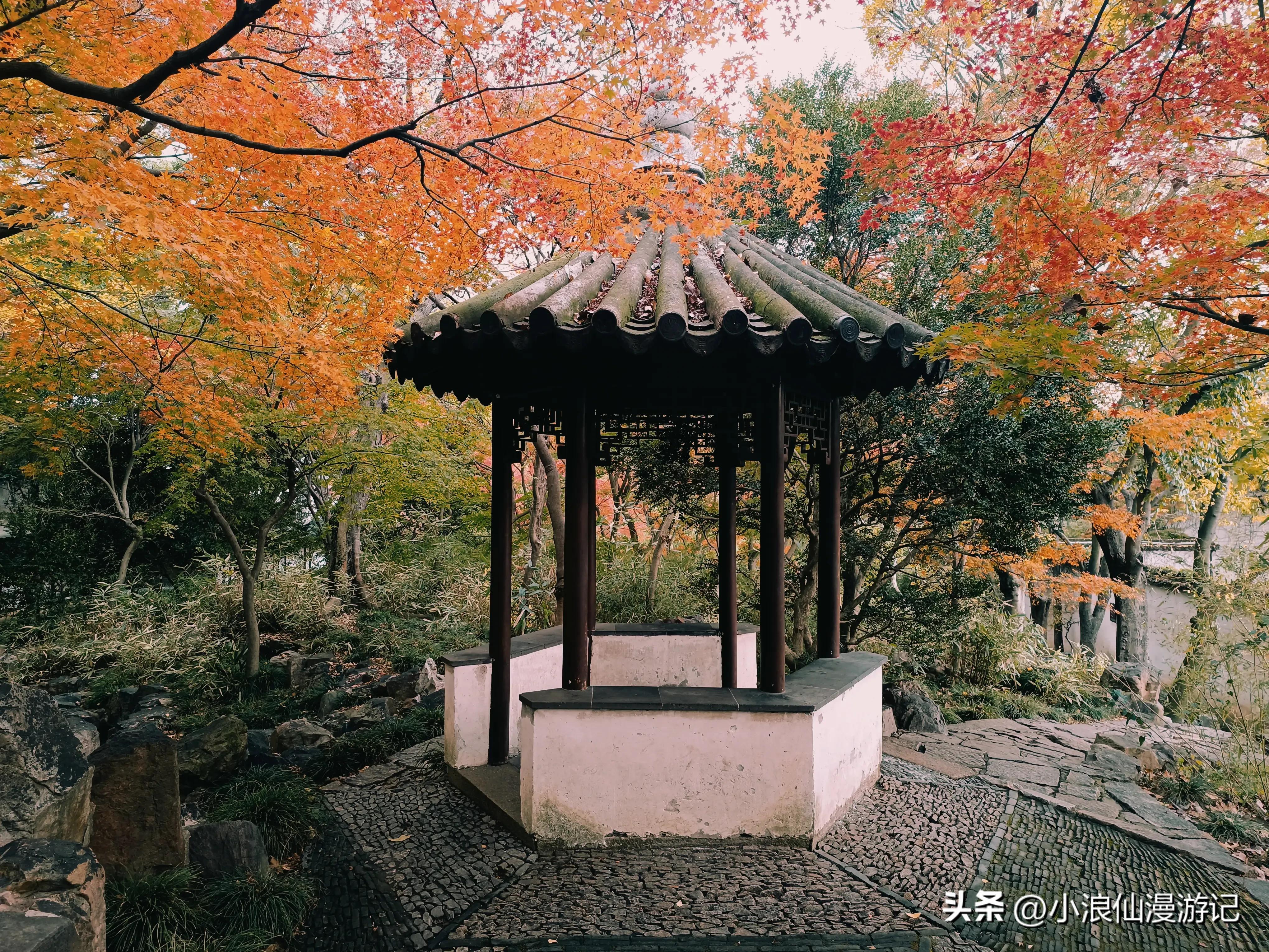 苏州天平山赏枫品茶的句子,苏州赏枫除了天平山还有哪