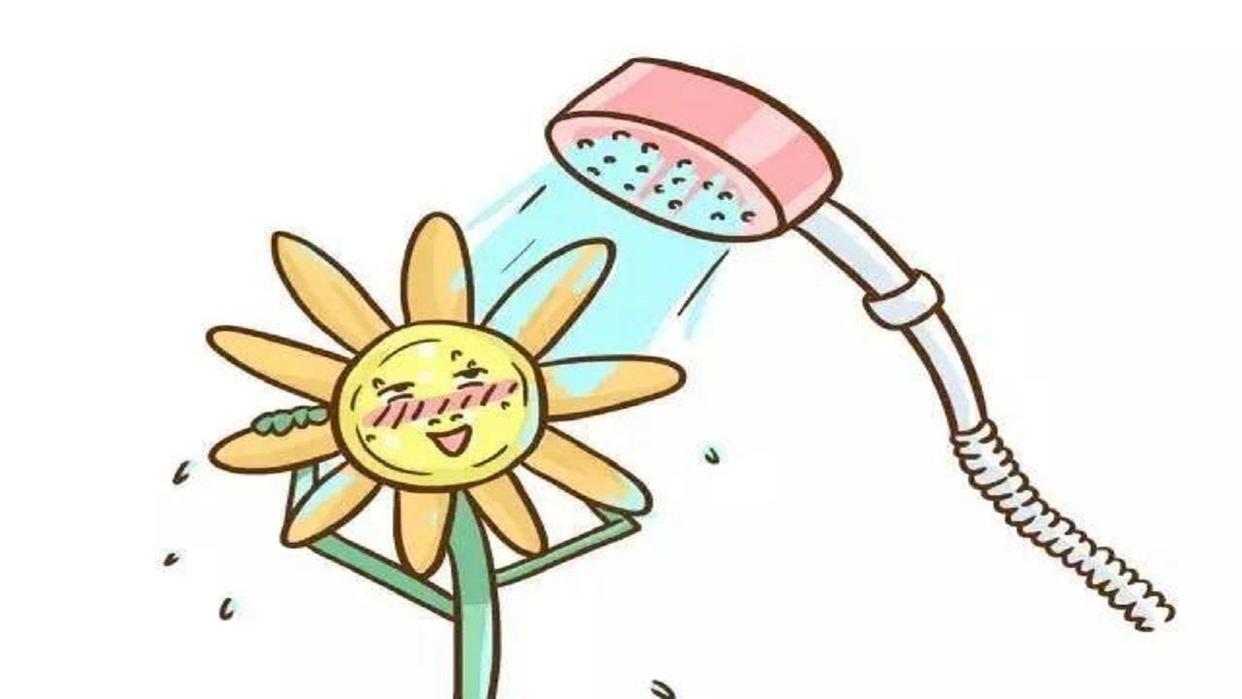 你有洗屁屁的习惯吗,你有洗屁股的习惯吗