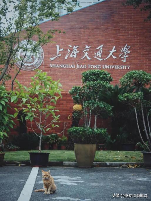 中国十大高校薪酬排名,中国十大高校在哪个省